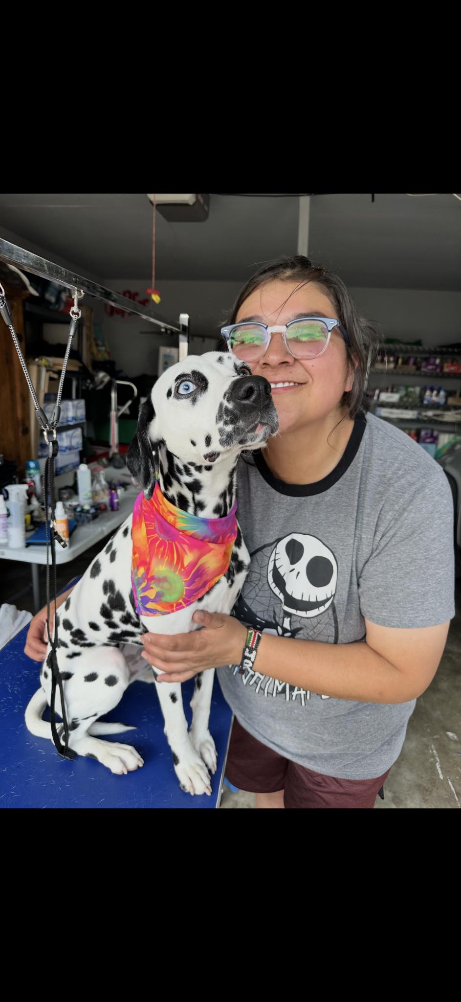 Groomer with Dalmatian